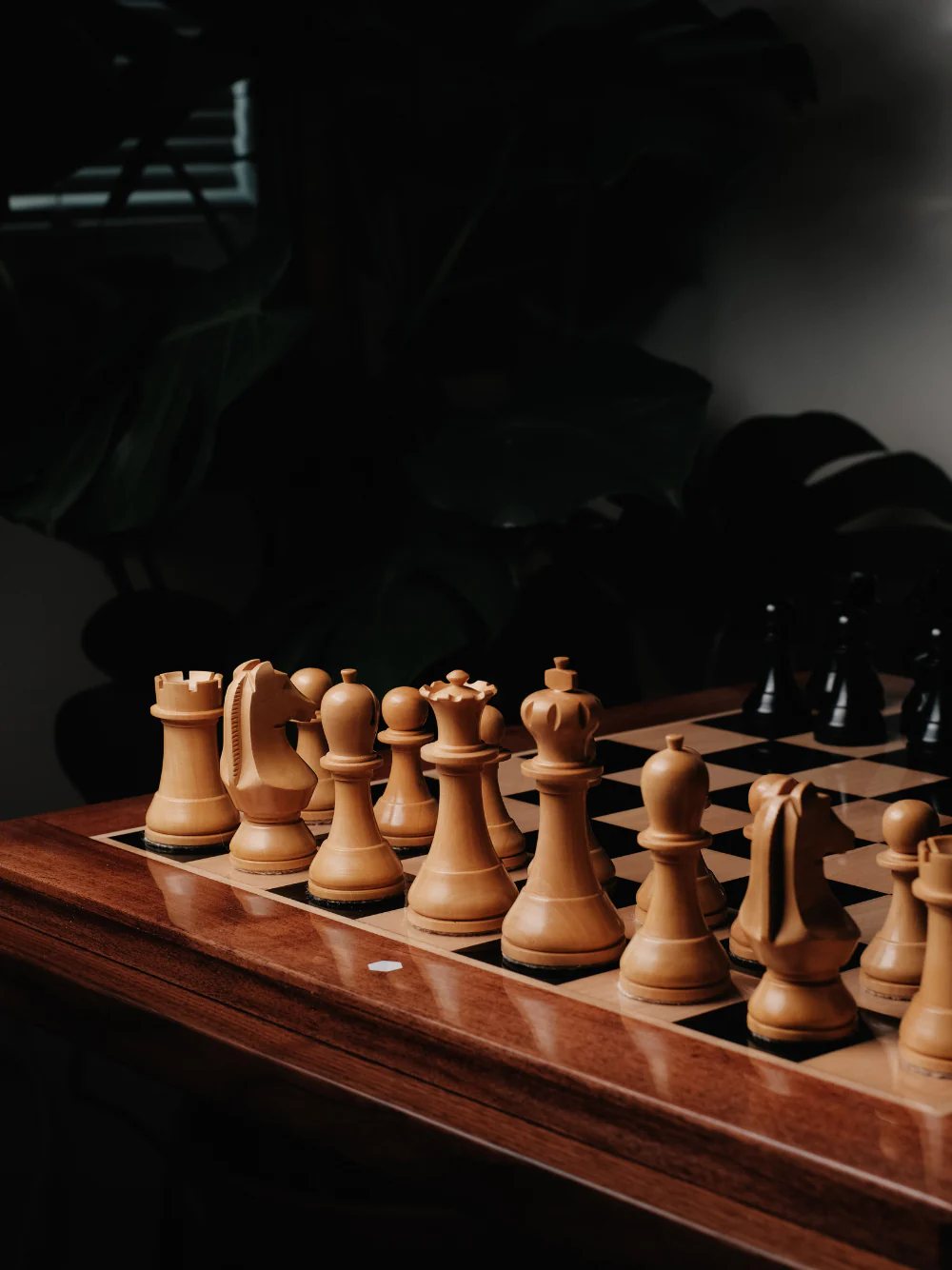 Official World Chess Premium Set - Image 8