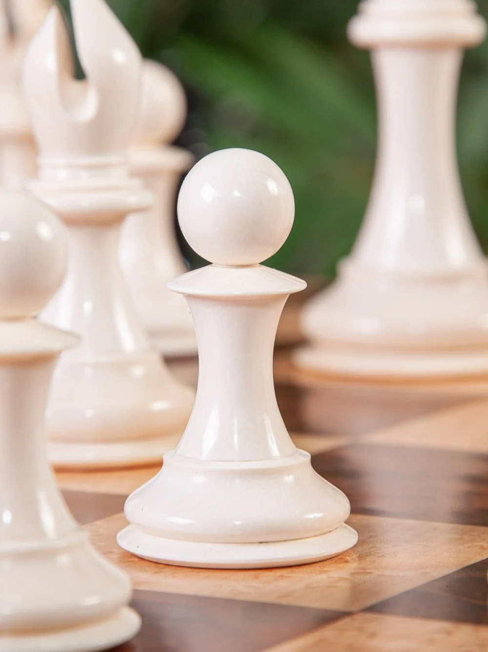 Mammoth Ivory Collector Series – Luxury Chess Pieces - Image 3