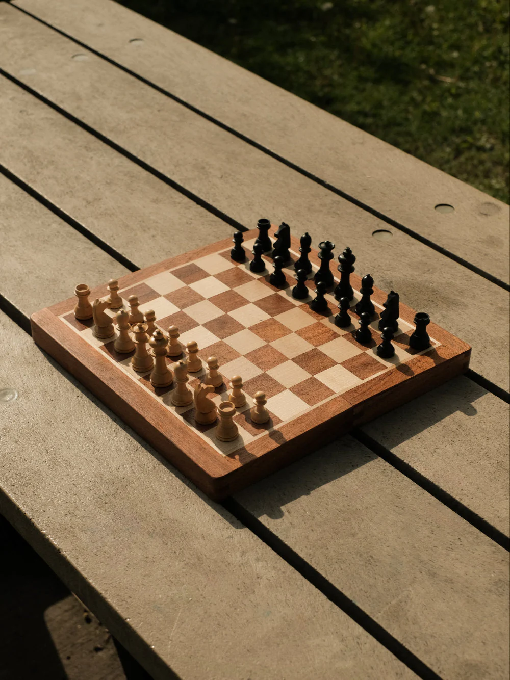 Gukesh D Travel Chess Set - Image 4